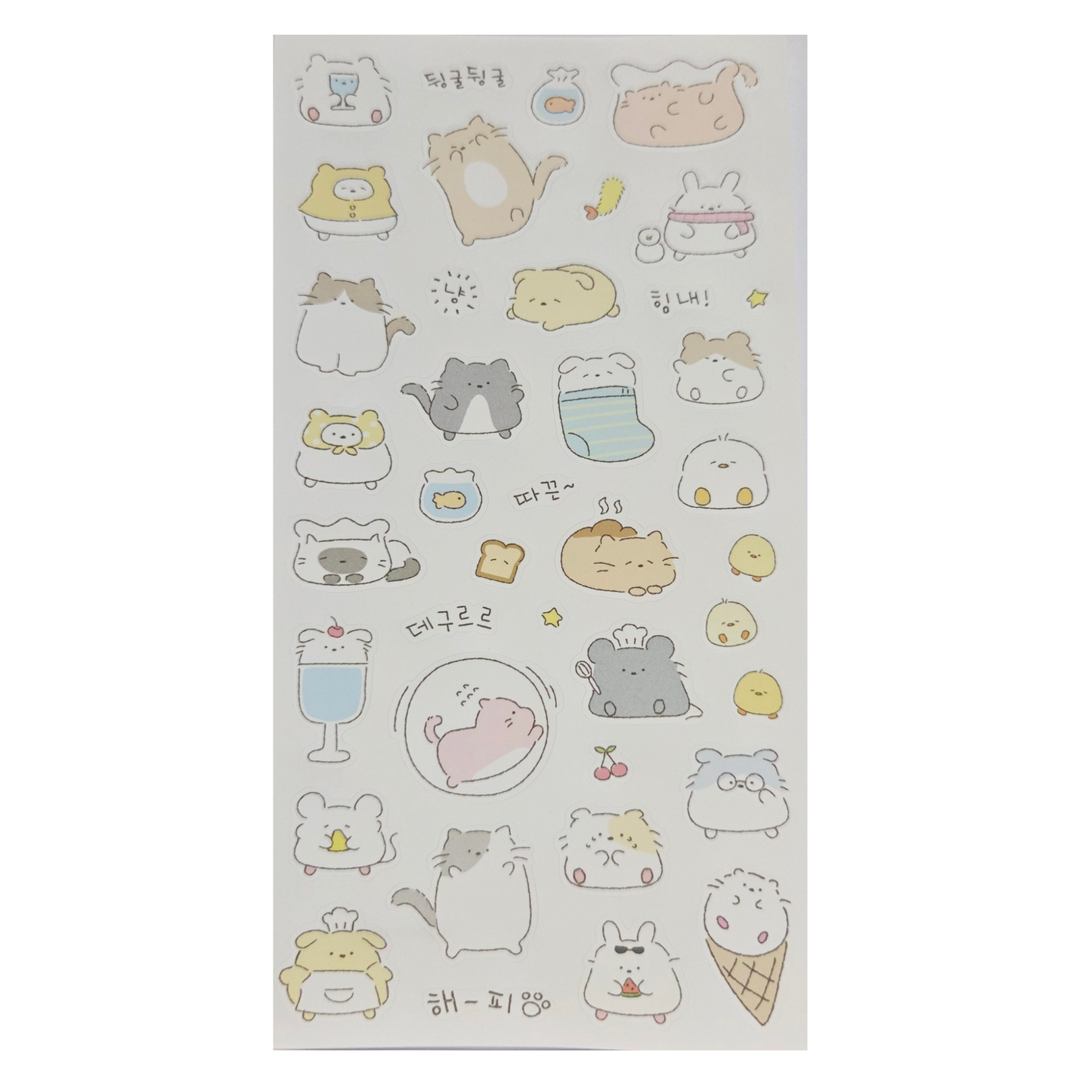 Cats PET 2