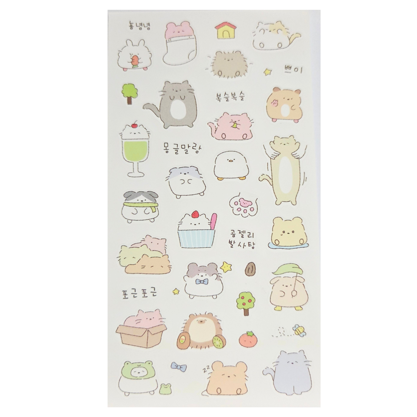 Cats PET 1