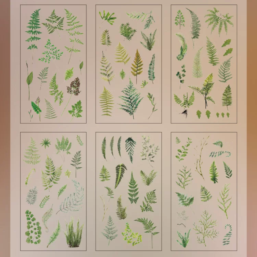 Plant PET Sticker (6 Sheets/ Pack)