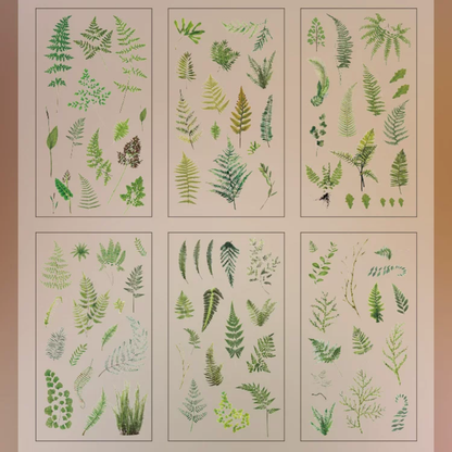 Plant PET Sticker (6 Sheets/ Pack)