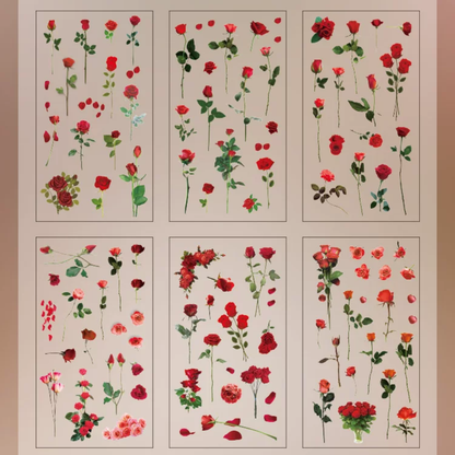 Plant PET Sticker (6 Sheets/ Pack)