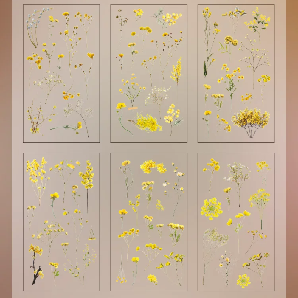 Plant PET Sticker (6 Sheets/ Pack)