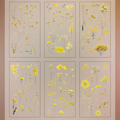 Plant PET Sticker (6 Sheets/ Pack)